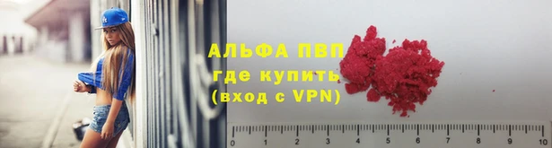 mdpv Богданович